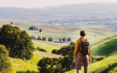 The Future of Performance Management