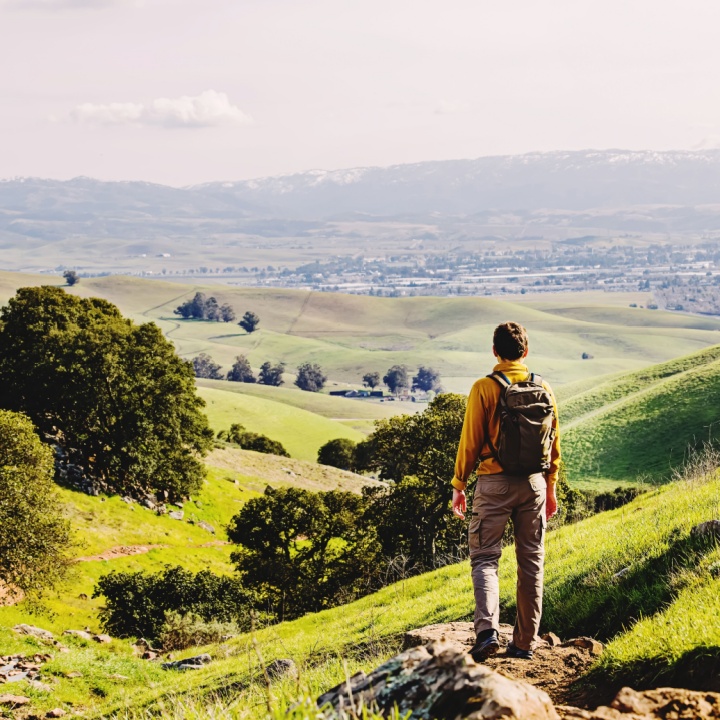 The Future of Performance Management
